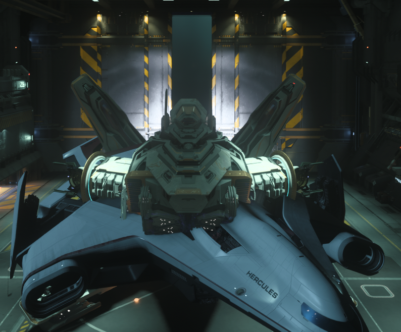 Persistent hangar bug