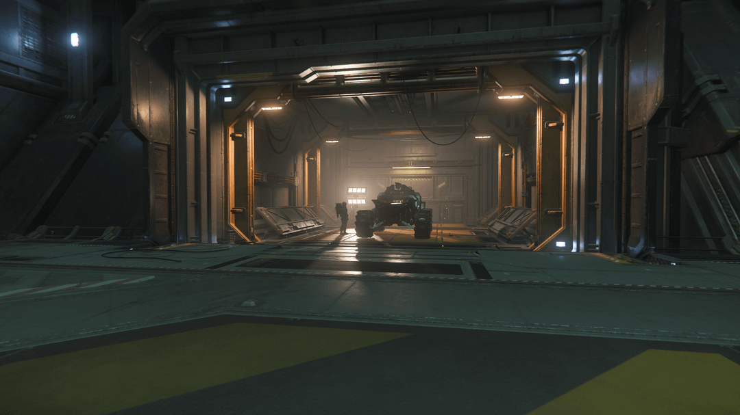 CIG can we PLEASE get more vehicles from the cargo elevator