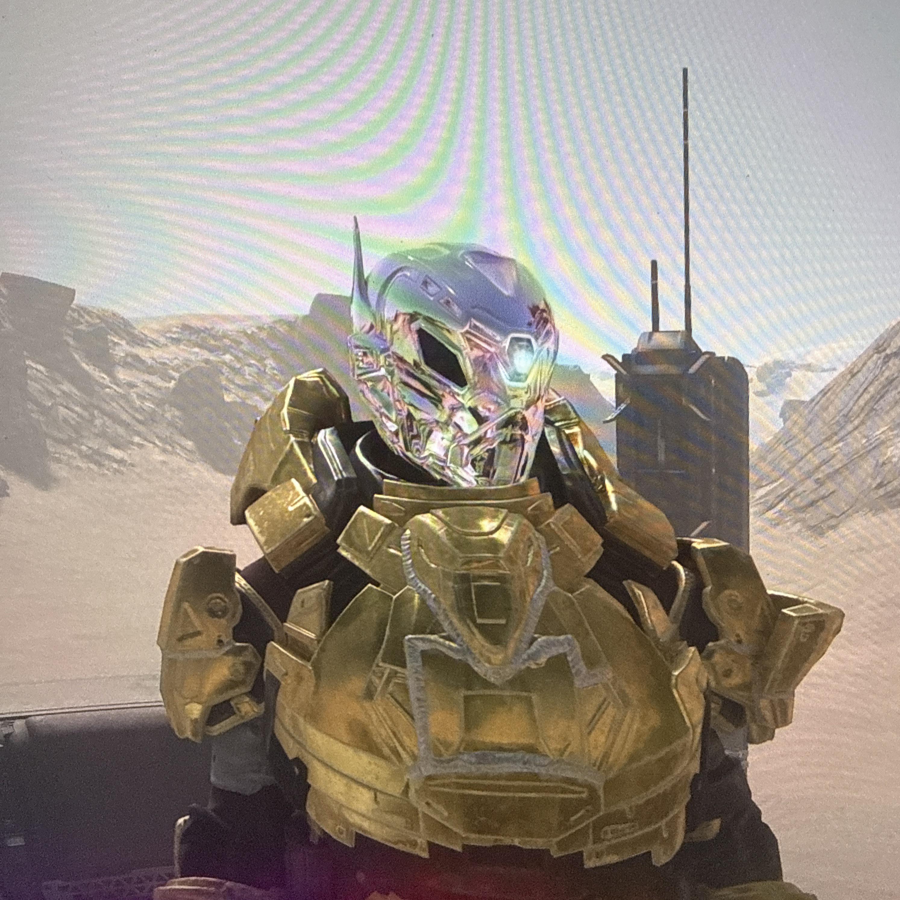 Entire chrome Arden-SL helmet
